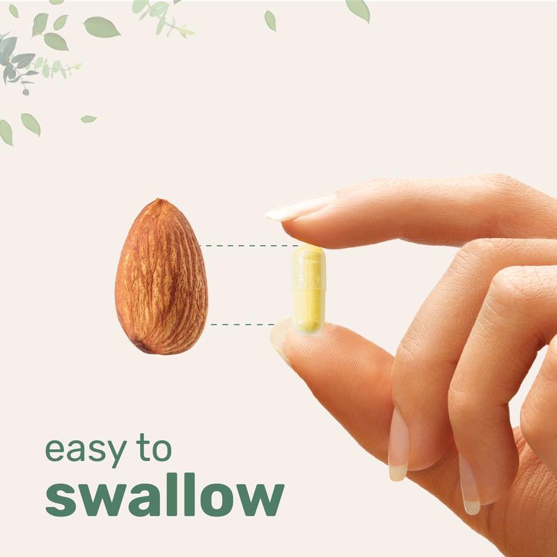Saffron+ Advanced